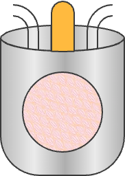 Co-cultivation visual
