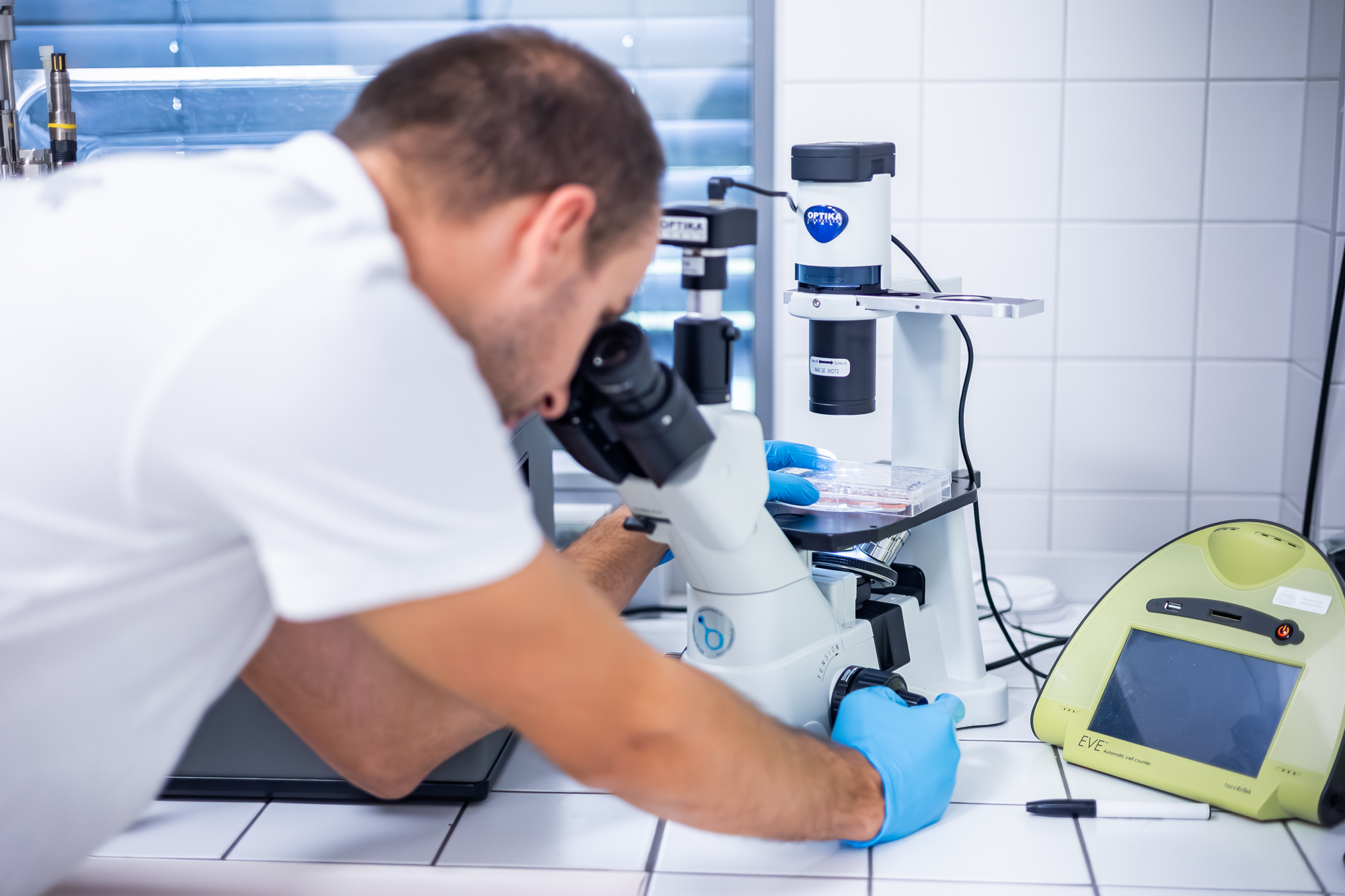 Mewery scientist working in the laboratory